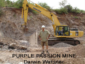 purplepassionmine4.jpg